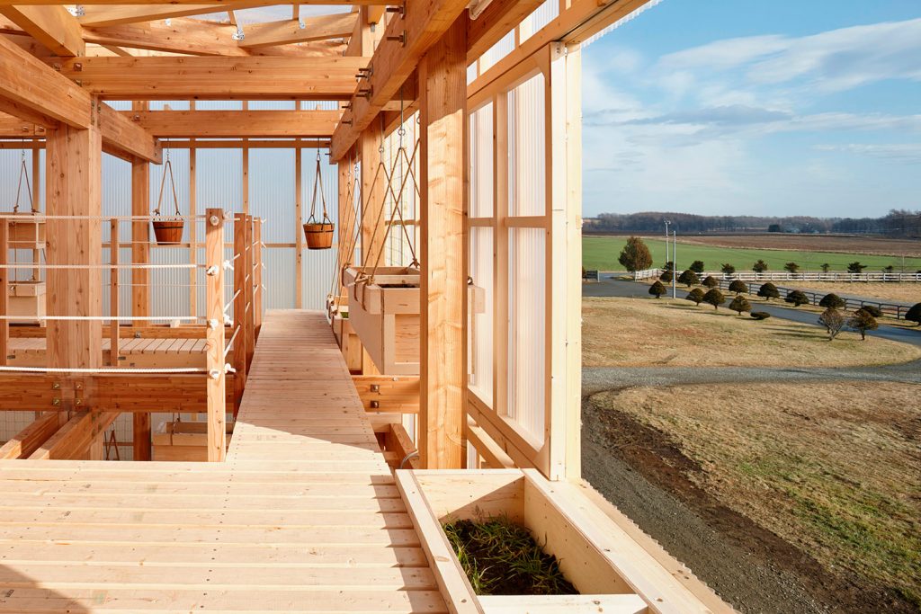 Nest We Grow - Berkeley University + Kengo Kuma